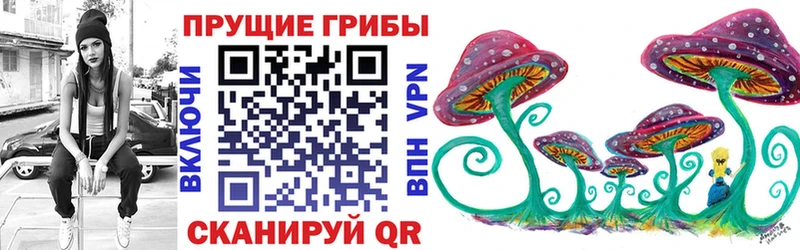 Псилоцибиновые грибы Magic Shrooms  Светлоград 