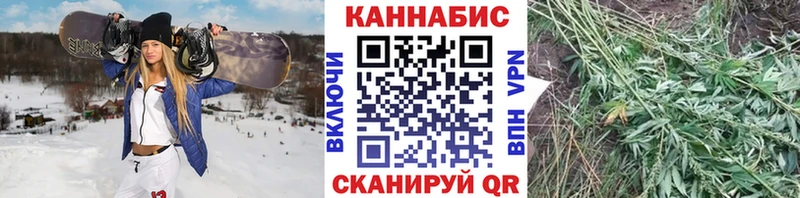 ОМГ ОМГ   Светлоград  Бошки марихуана VHQ  наркошоп 